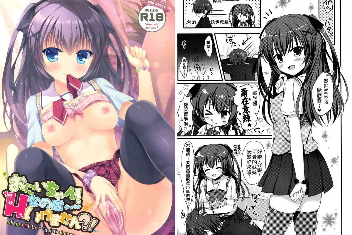 (C90)(同人誌)[Allegro Mistic, Egoistic Honey (鷹乃ゆき, 羽純りお)] おにいちゃん!Hなのはいけません! (オリジナル)[oo君個人漢化]-萝莉妹妹